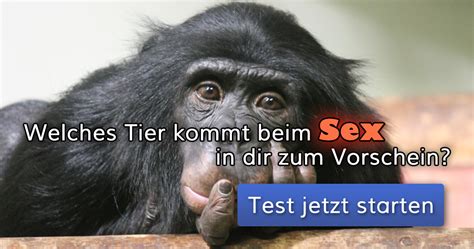 sex mit tieren|HQ Tiersex.